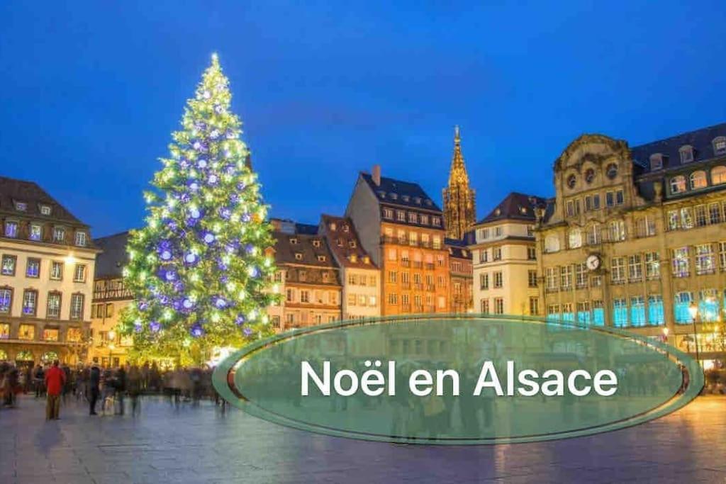 Gite Classe 4 Etoiles  La Maison Du Tonnelier Oberbronn Dış mekan fotoğraf