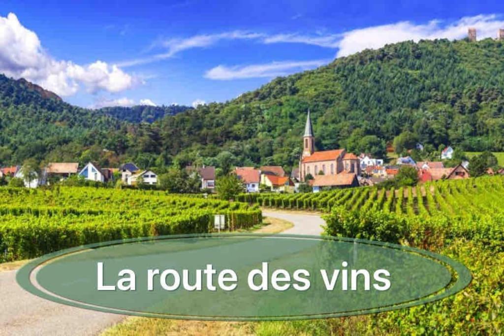 Gite Classe 4 Etoiles  La Maison Du Tonnelier Oberbronn Dış mekan fotoğraf