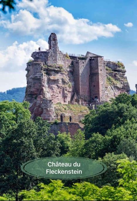 Gite Classe 4 Etoiles  La Maison Du Tonnelier Oberbronn Dış mekan fotoğraf